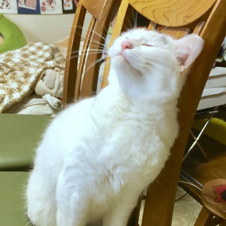 5a5a2e00 e7e7 4334 aaf3 68daff860d46 1563782369328