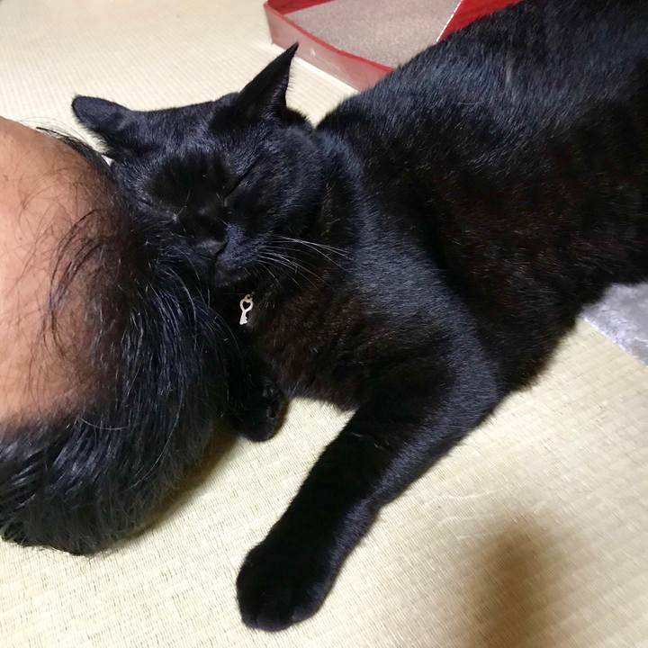 5a5a5248 bbe0 41bd 814c fe9bbe7e3336 1534252083911