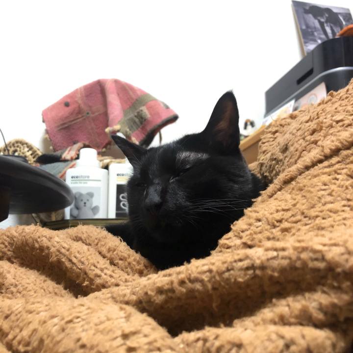 5a5a7209 1d43 4107 a415 b4157edbc75d 1577026199820