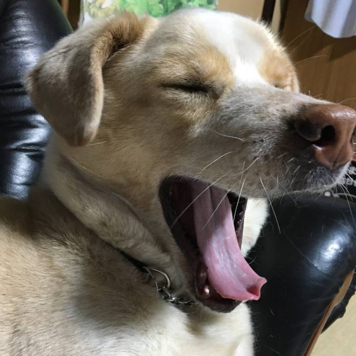 5a5aaa05 532c 43ca bce3 76556a881175 1525006789566