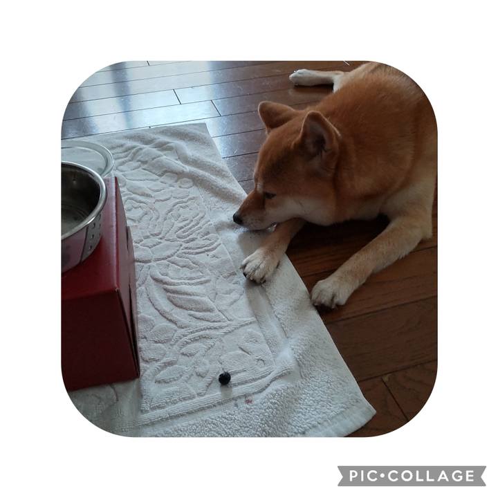 5a5ac453 5765 416f b069 85553a41516c 1690504808538