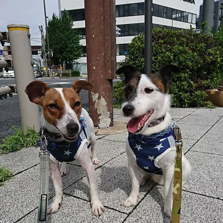 5a5adc52 1202 4840 b041 a0f0ef9ea73c 1530920461085