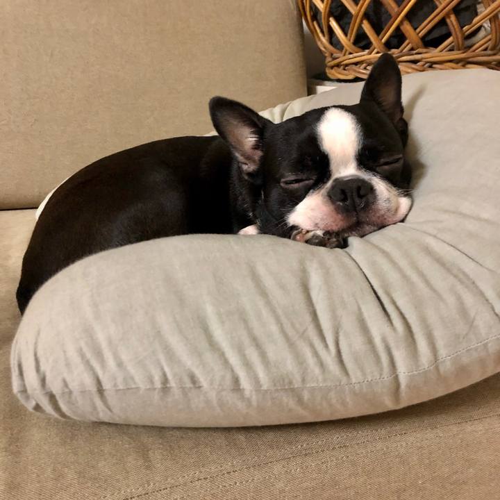 5a5aee45 c079 4ef5 9d91 f52e68d19f5a 1579564023329