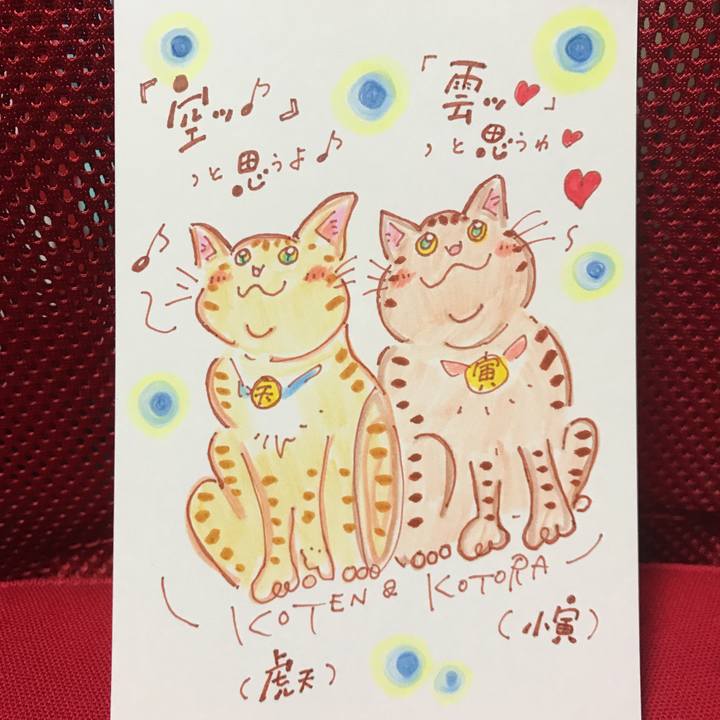 5a5b0585 4d8b 406e b99d 392ea0507b89 1560620071788