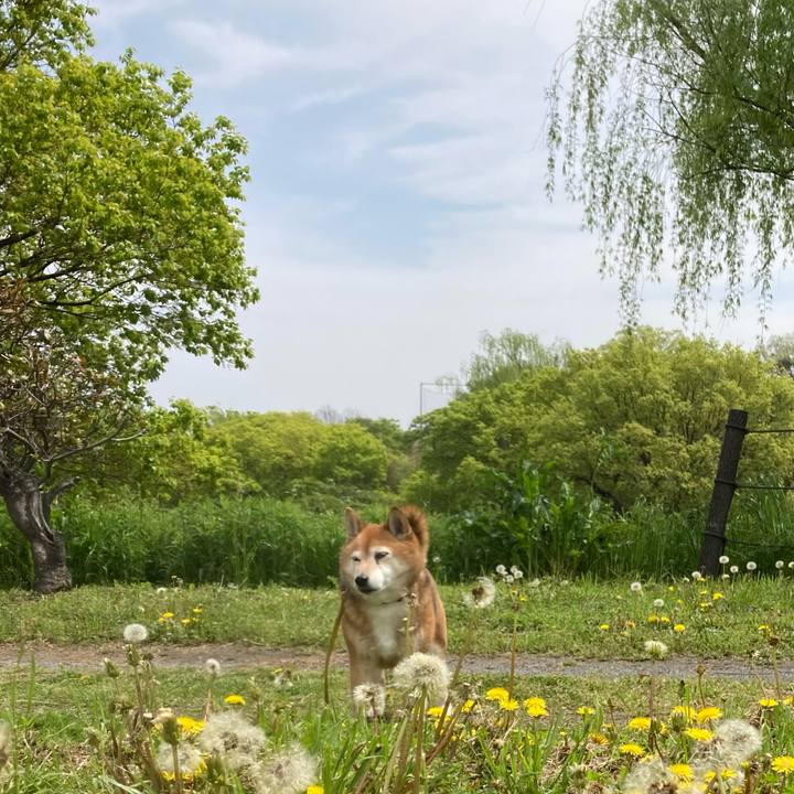 5a5b3d11 a19a 43a7 8c65 181005c1eb55 1650514256977