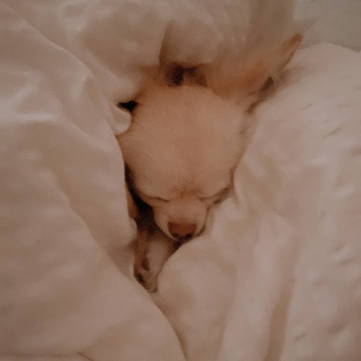 5a5b4d18 b0c2 42b4 8fb3 161429983205 1673855597314