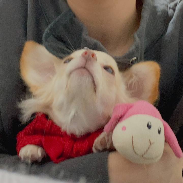 5a5b6196 1941 4fa1 811d af8245de6192 1603019539926