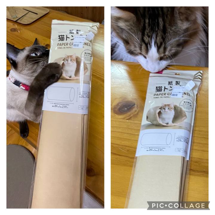 5a5b9b6a 0c7d 48b3 9918 39f7a7ddab29 1710190881589