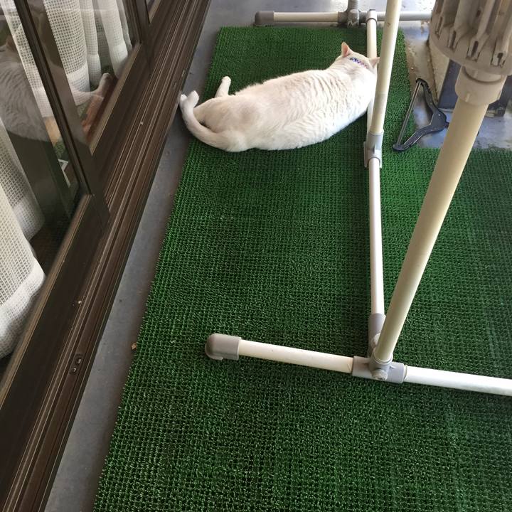 5a5bbb66 c1b8 4ebd baaa 6badb0a07d02 1567893559760