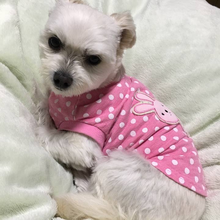 5a5bc71a 97e6 466f 88d5 8140306fb69d 1543490731957