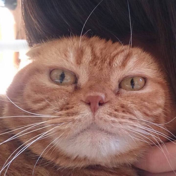 5a5be2e1 daf6 49bc beaf 3db55d6eb211 1590990922463