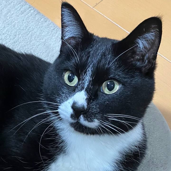 5a5c3de1 f44b 428c 8999 c7012c518429 1712892567185