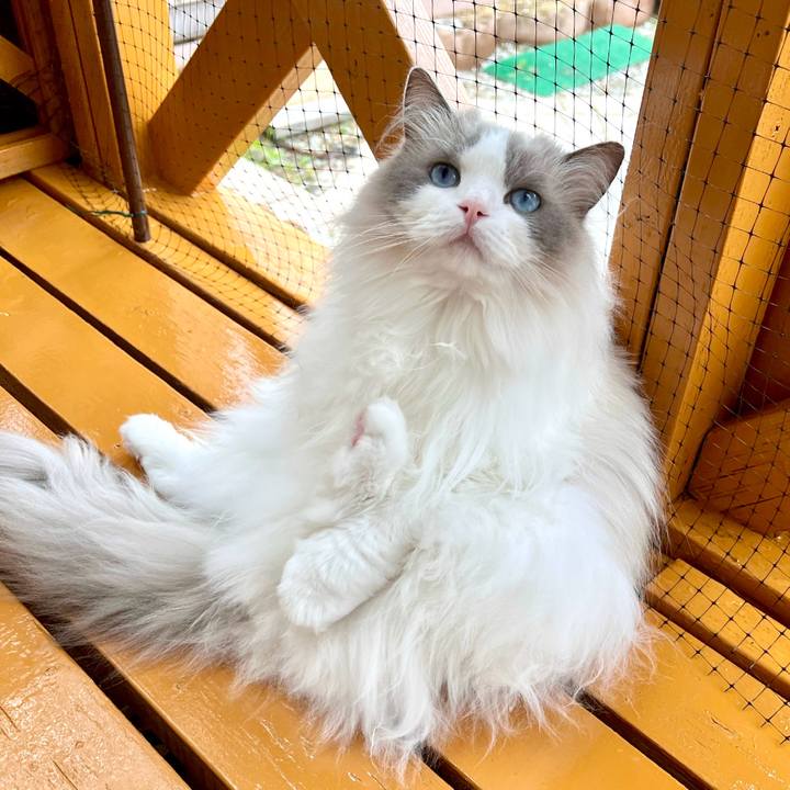 5a5c3eab 4c1b 4ca0 a23a 1220279a34ce 1716020686722