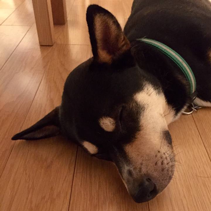 5a5c480a 94a8 4d1c b27f bf7d33116662 1531835535453