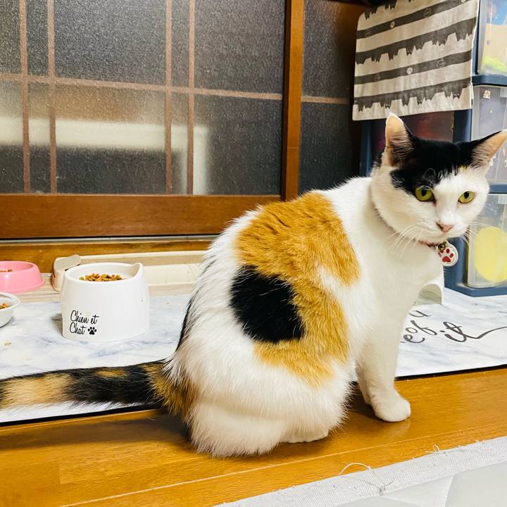 5a5c5636 7fa6 4614 8626 b43453902d5d 1721309087411