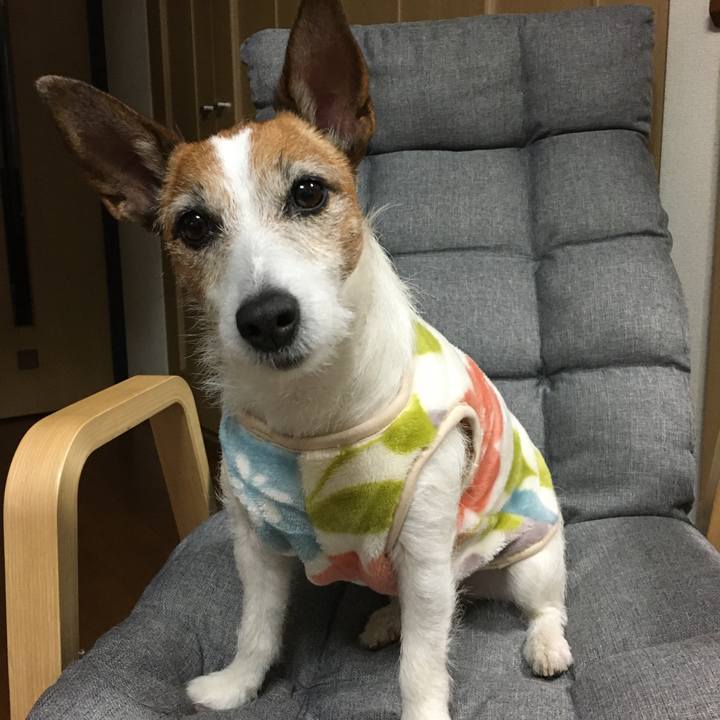 5a5c85da b01b 4c7f bffc 10734998cc48 1582669222817