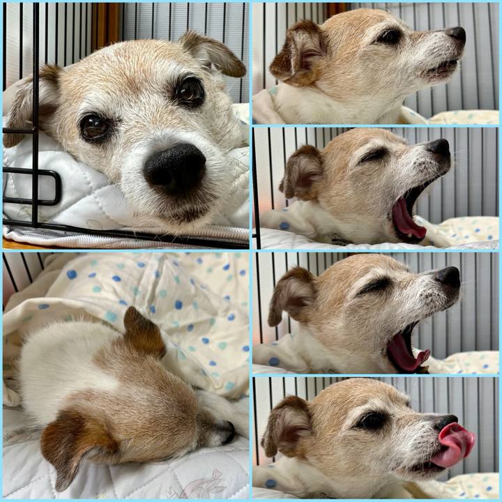 5a5cc39d 73a7 4cd0 947f c0481ac5350e 1716865265522