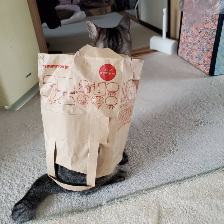 5a5cd9b0 03d1 4660 a78a a70abc0ec564 1698590734446