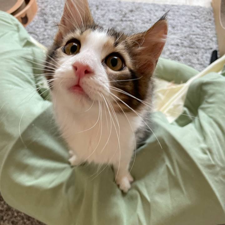 5a5d0189 5d3f 4e7e a382 0f9b36fd8cff 1632607604953