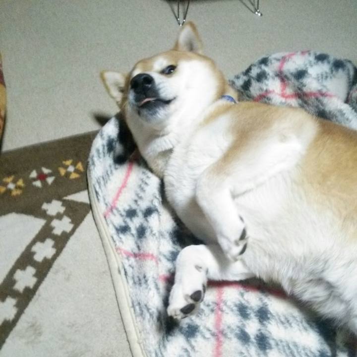 5a5d1df0 5c45 4e34 b7b3 8912f2368fcf 1579252493608