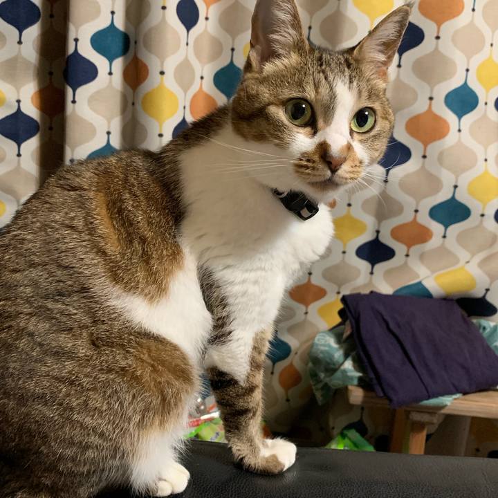 5a5d2587 0234 48c9 96b5 b69b8c8f34f5 1593697634791