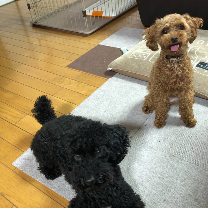 5a5d384f abd7 407e bcb3 78a5e647ea76 1527545768851