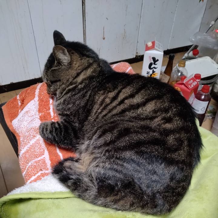 5a5d4484 7d53 403f 8ebf c6f8fa3a89b4 1700551222643