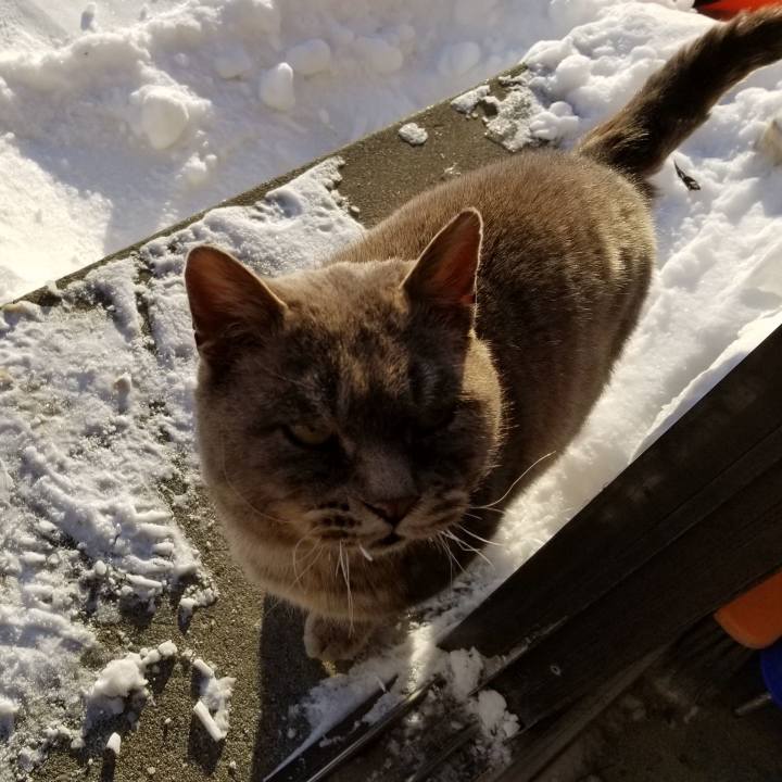 5a5d44df 315f 40bf 81cc 3d11f9a20346 1549021472507