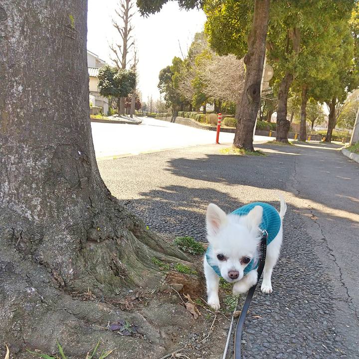 5a5dbf6e 235c 4223 910b 395de965e244 1584669867617