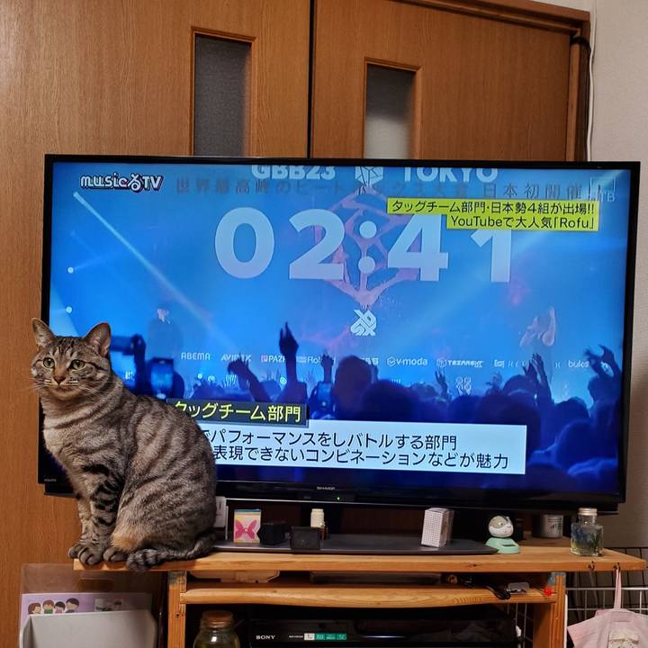 5a5ddb3a 6240 4f36 a511 5a113c50a5d5 1705635106492