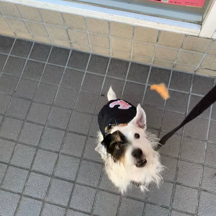 5a5deb97 343d 4368 b432 5c09e5b95889 1673399521567