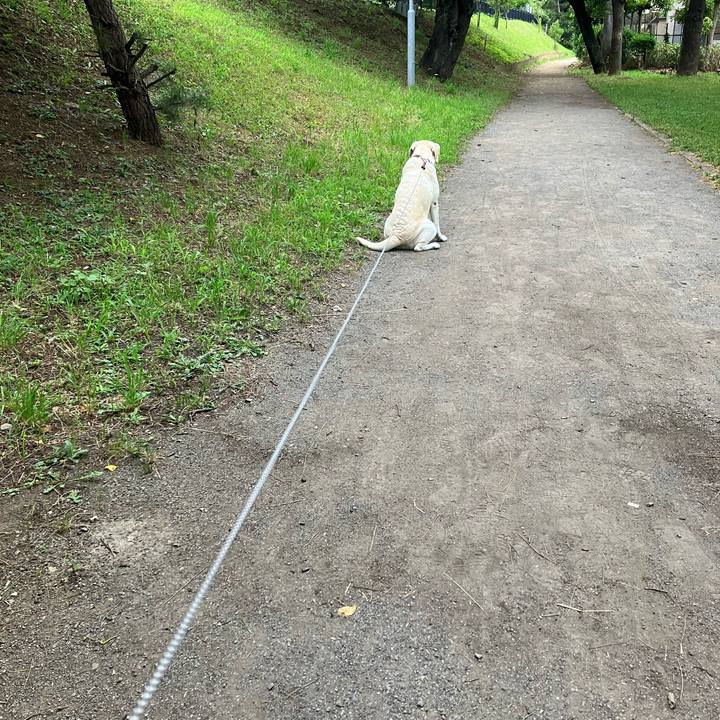 5a5e0b0f f0c0 4a68 a11e b8d13e81e87e 1689205101516