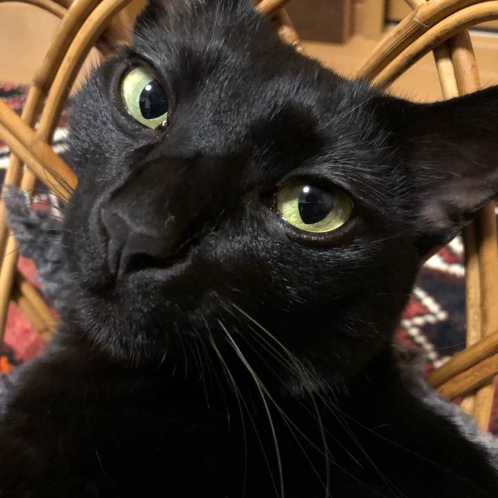 5a5e1f6b 7ce6 476e 8fe5 69618e40bd53 1583845841173