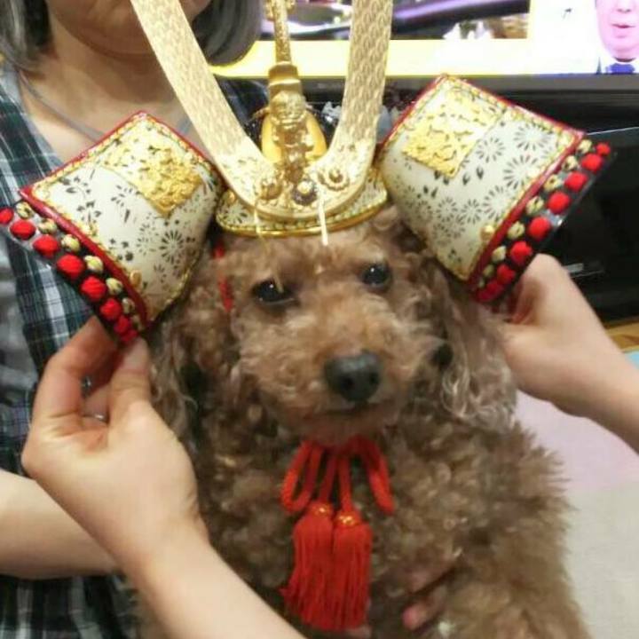 5a5e2456 3741 4dfc 94d3 1e037dac0c3b 1557142789670