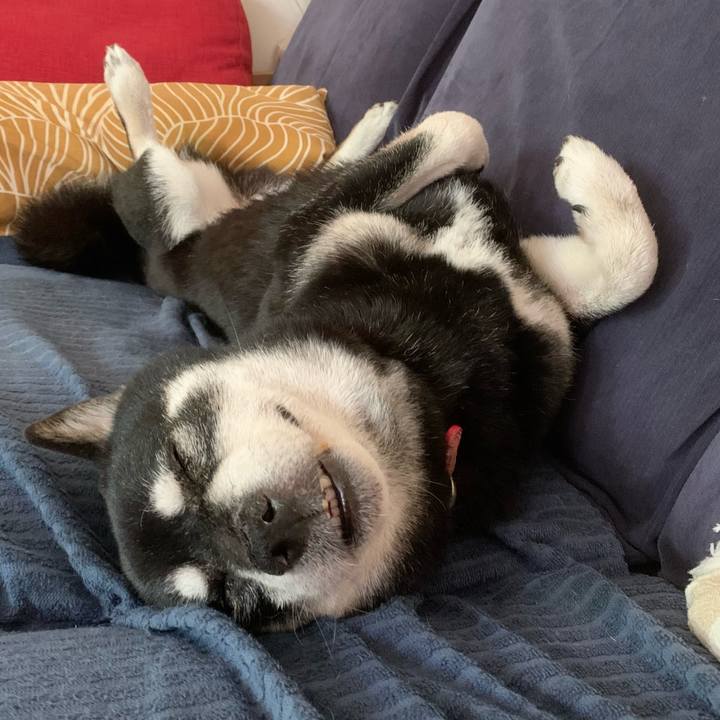 5a5e565c 9d07 4870 b3f9 7c27ccb4e475 1750651431586