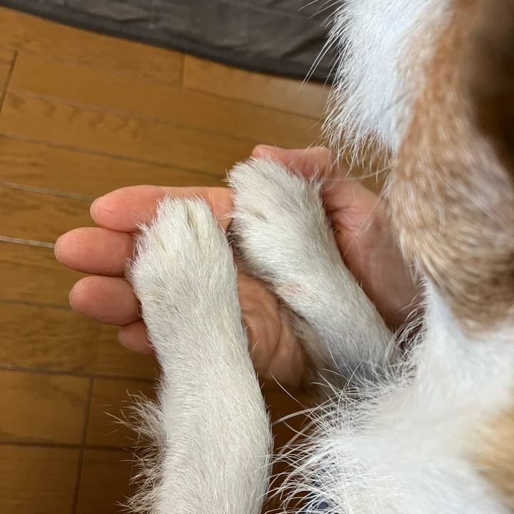 5a5e5920 8f83 452c a46f 2fbf50782e6e 1670887617417