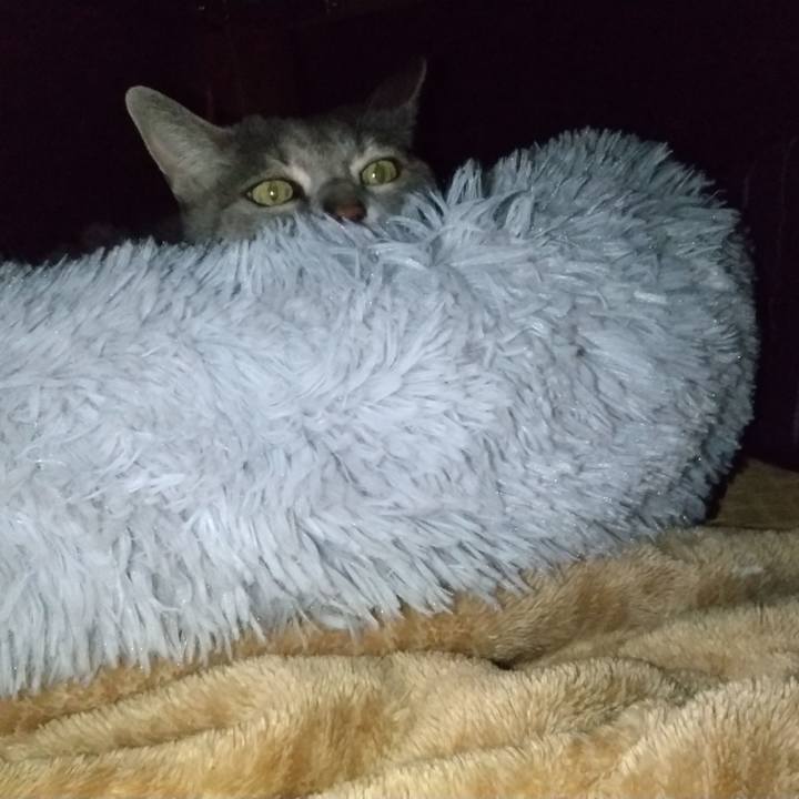 5a5ea250 9e96 4c75 9f0a 29ef5998a278 1607836263098