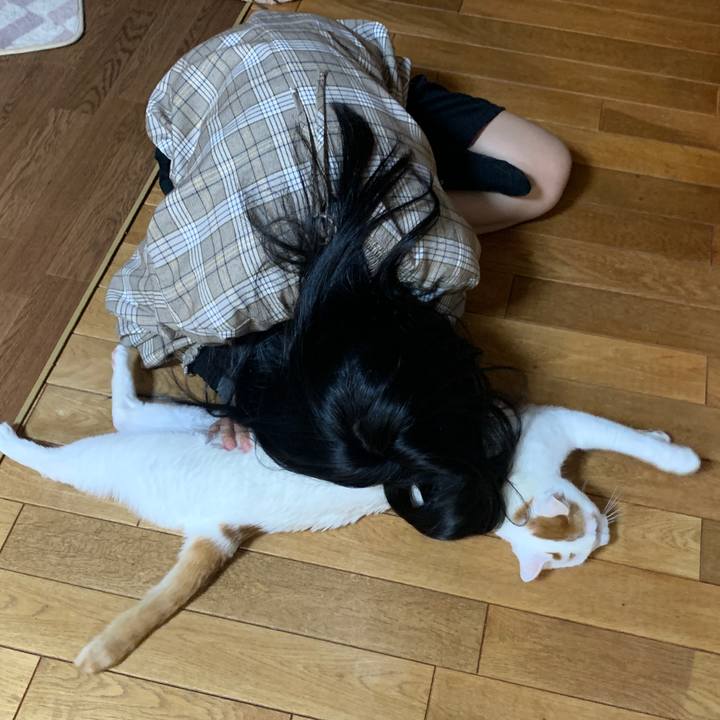 5a5edd37 6f60 4fc3 b12a dfd2404750fd 1642855032077