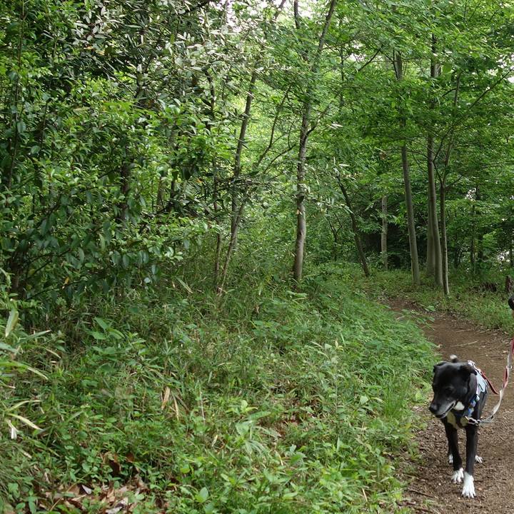 5a5f12a0 2d46 43b8 b8c9 c59f78073135 1746402815190