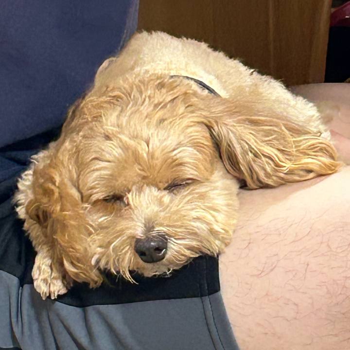 5a5f4e49 4c8b 4768 bbe4 276b51a216d9 1726390491659