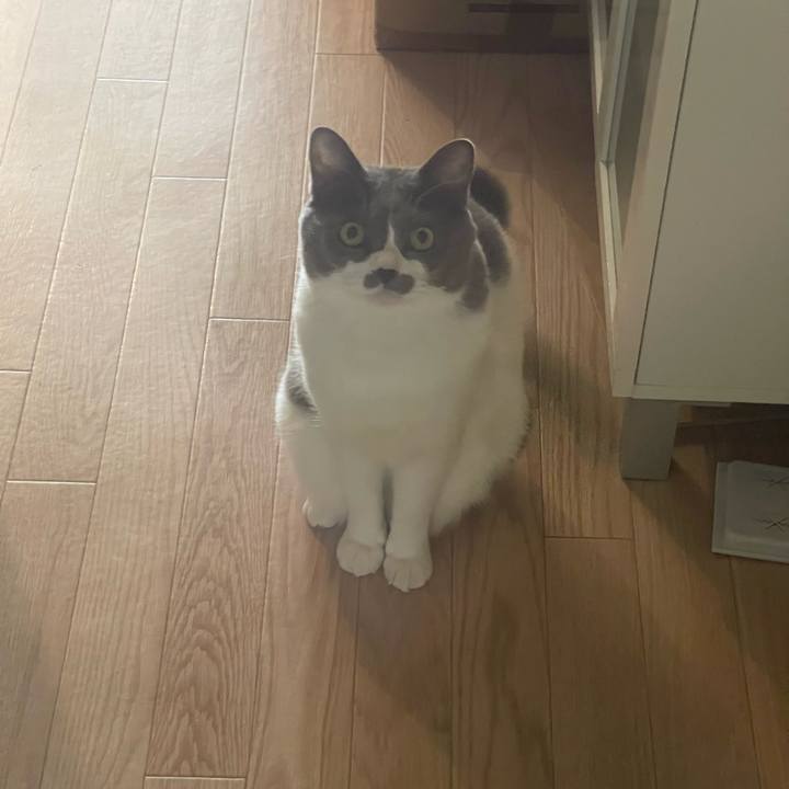 5a5f639c 58c2 4958 ab77 f118702d6a32 1732247078241