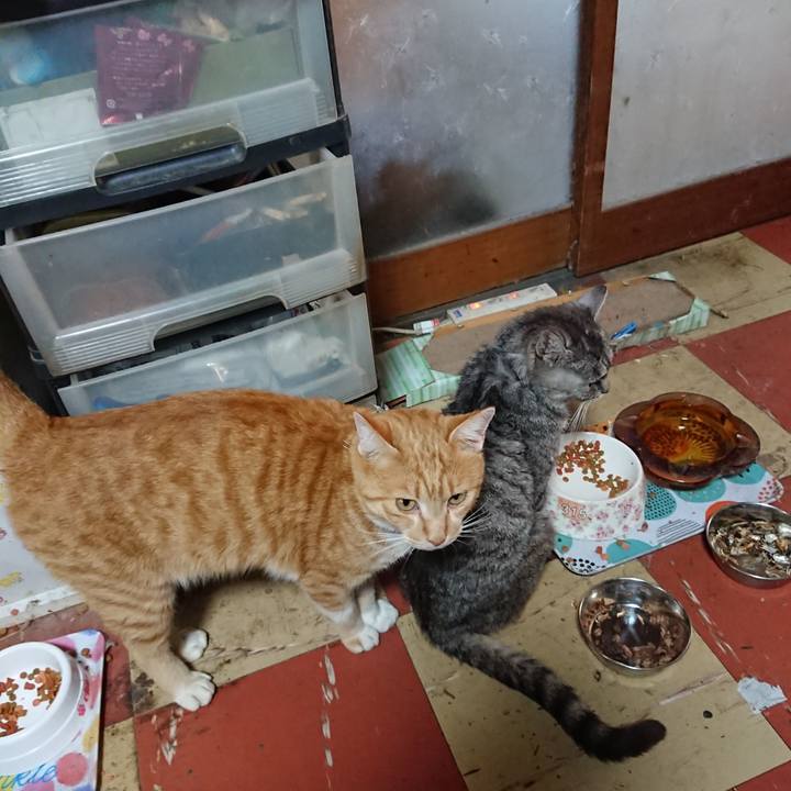 5a5f7357 09fe 4d69 8a4f 48d8b47d18cb 1572823585719