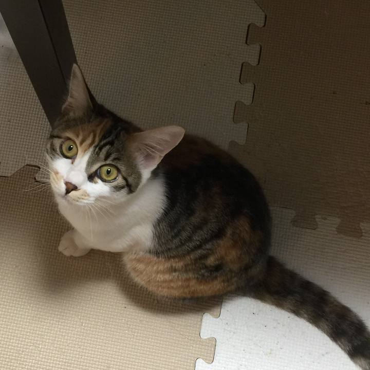 5a5f981a 2f30 4e51 ad21 a8abe2867912 1642848336842