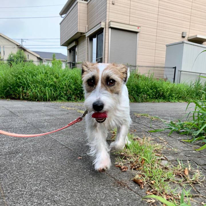 5a5f98a0 fa0d 4d05 9f43 8f0f2b3b7ec9 1627521833206