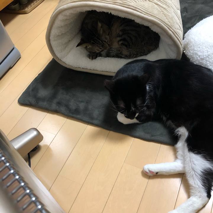 5a5fac8a 72ff 46cd 810c cd442aaf9113 1577528304264