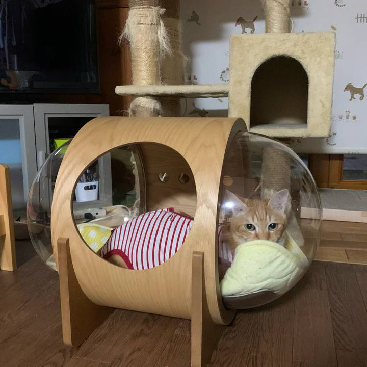 5a5fd5b0 dcbb 4e5d b03d 14937921a02c 1592655295354