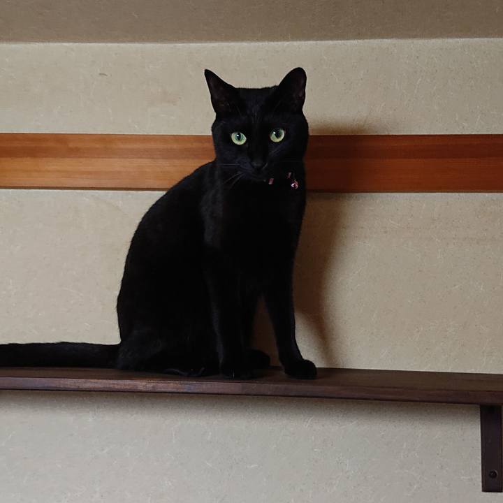 5a5fe5c9 66cb 40e4 aa40 2c4b1be8a99a 1541634994379