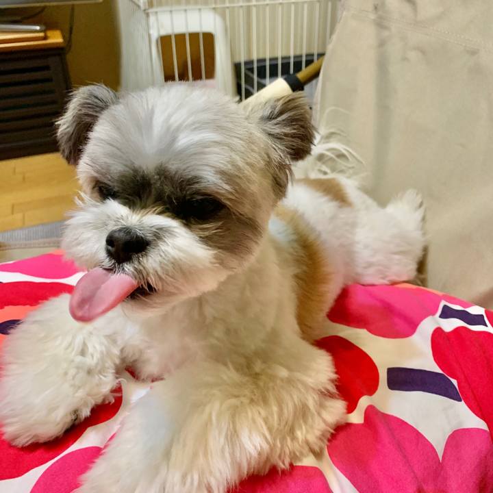 5a5ffc4c a25e 479c 8d88 b37666036fd5 1602207320653