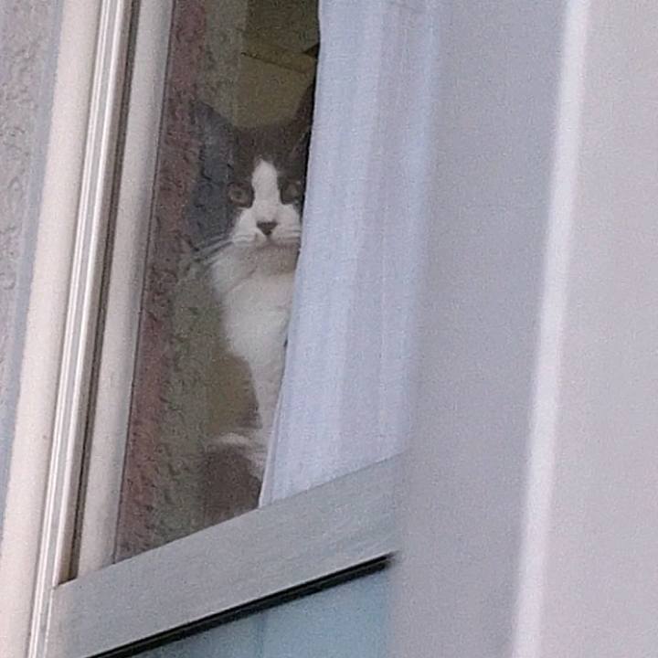 5a60063d e35c 459a 891e 43687e48760a 1584525850996