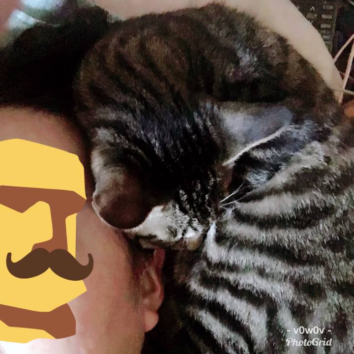 5a603903 4741 4b38 aa7a 6a9c7e9126af 1543899573701